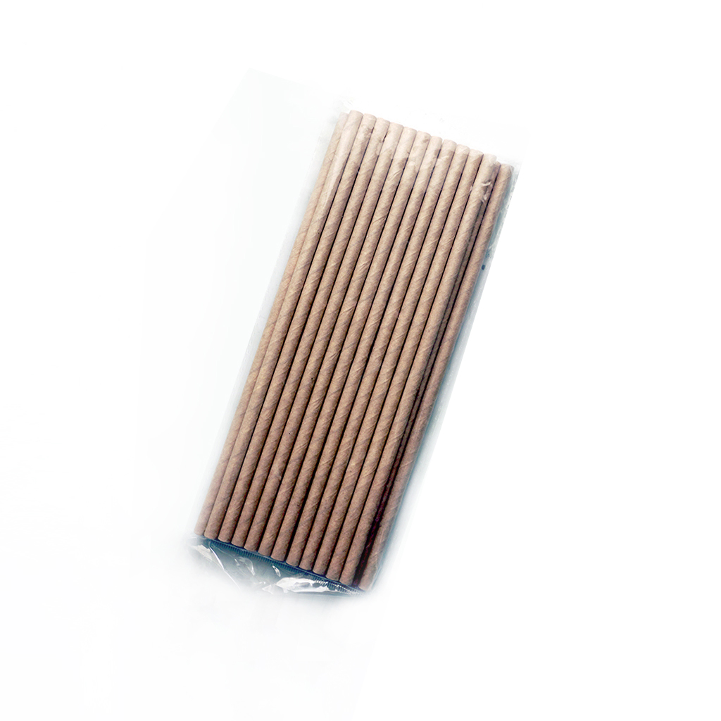 Brown Paper suction tube